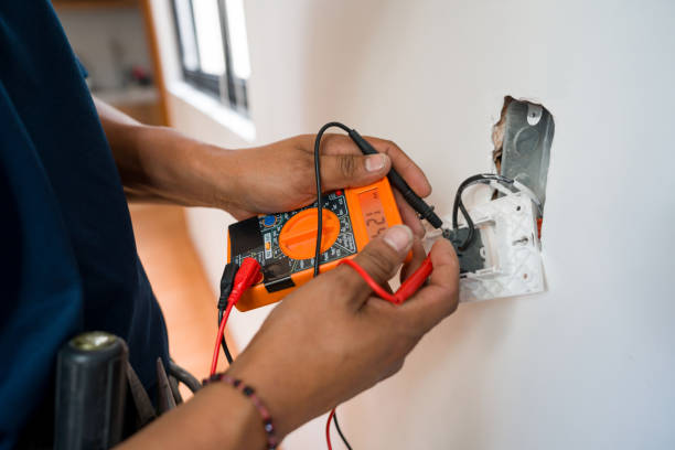 Best Electrician Near Me  in Winnebago, MN