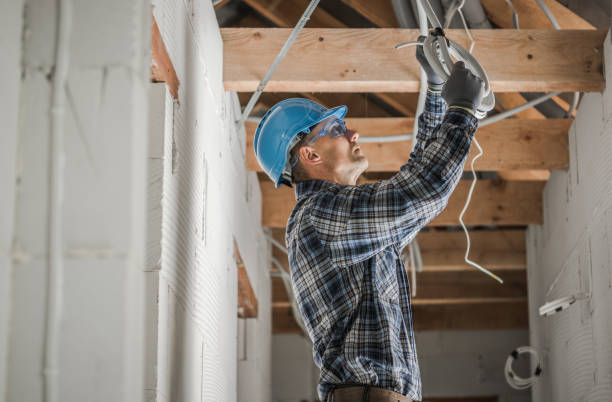 Best Electrical Troubleshooting Services  in Winnebago, MN