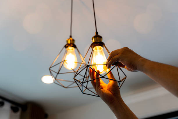Best Electrician for Home Renovation  in Winnebago, MN