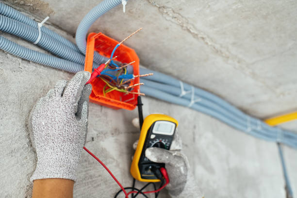 Best Electrical Contractors for Businesses  in Winnebago, MN