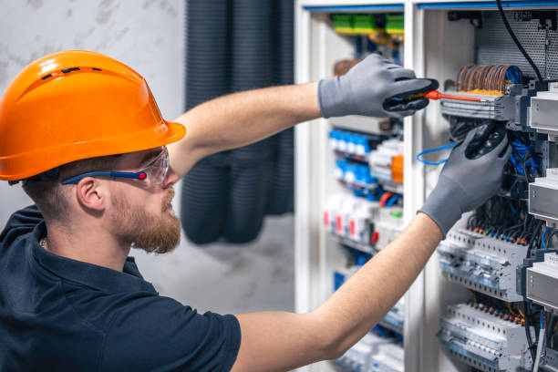 Best Affordable Electrician  in Winnebago, MN