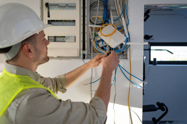 Best Electrical Repair Services  in Winnebago, MN